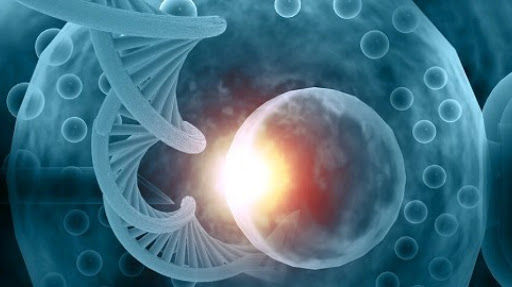 Dr. Ripal Modi - IVF Treatment, Family Balancing, Fertility Clinic, IUI Treatment, IVF Center, Gynecologist in Abu Dhabi — HEALTHCARE in Dubai — photo 1