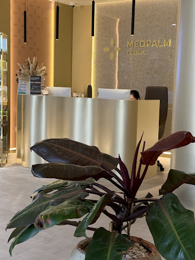 MEDPALM Clinic Dubai | Russian Doctors in Jumeirah — HEALTHCARE in Dubai — photo 3