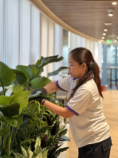 Electi Cleaning Services — HOME-SERVICES in Dubai — photo 2