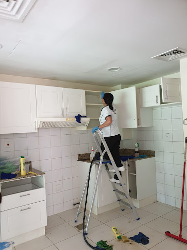 Mangrove Services LLC — HOME-SERVICES in Dubai — photo 3