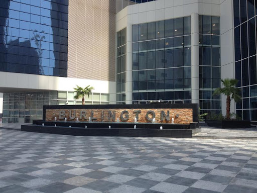 EcoClean Cleaning Company — HOME-SERVICES in Dubai — photo 3