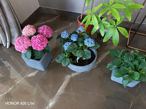 Fresh Living — HOME-SERVICES in Dubai — photo 3
