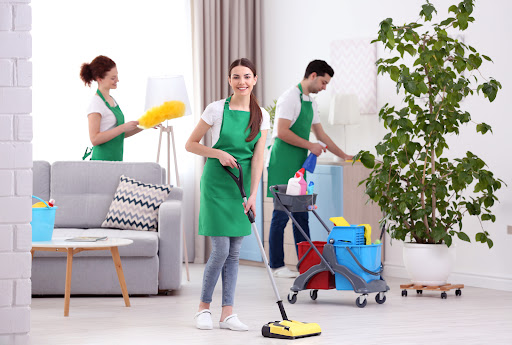 MaidsonDemand — HOME-SERVICES in Dubai — photo 3