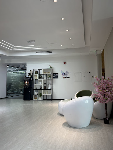 Blue Line Environmental Services L.L.C — HOME-SERVICES in Dubai — photo 2