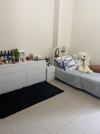 Duo Star Technical Services LLC — HOME-SERVICES in Dubai — photo 2