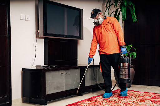 PROSHIELD Pest Control & Disinfection Services — HOME-SERVICES in Dubai — photo 1