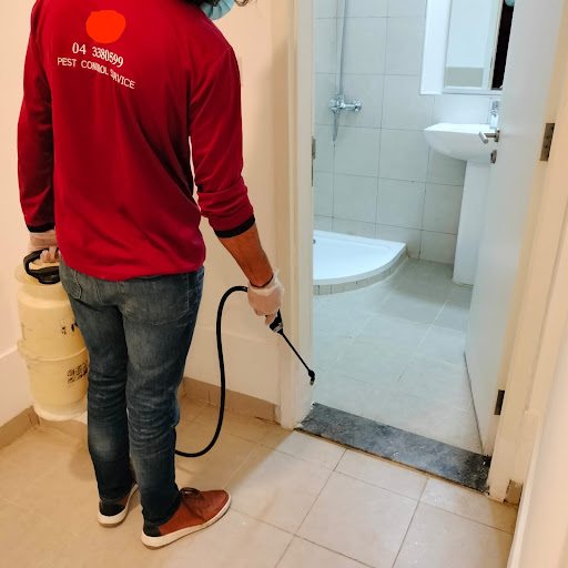 Spray Ahead Pest Control LLC — HOME-SERVICES in Dubai — photo 3