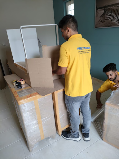 Perfect Movers UAE — HOME-SERVICES in Dubai — photo 3