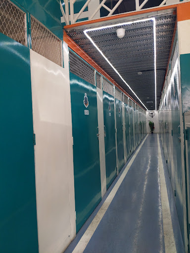 Pack N Move LLC — HOME-SERVICES in Dubai — photo 2