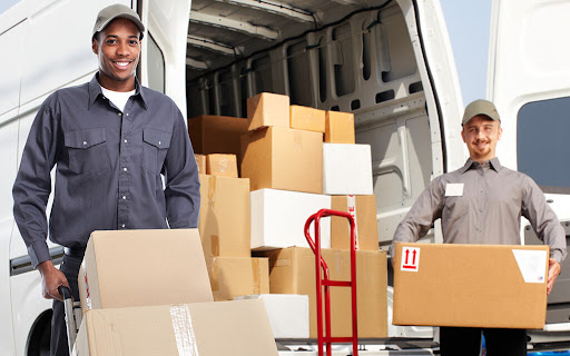 UAEMove — HOME-SERVICES in Dubai — photo 3