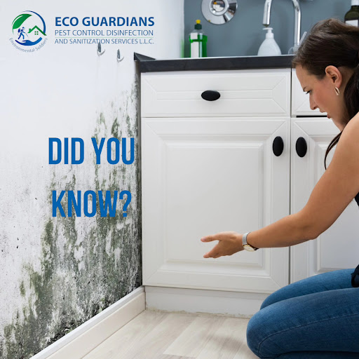 Eco Guardians Pest control Disinfection and Cleaning services — HOME-SERVICES in Dubai — photo 1