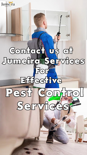 Jumeira Pest Control Service — HOME-SERVICES in Dubai — photo 1