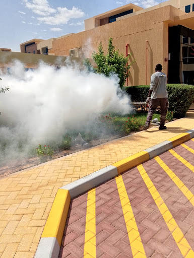 Jumeira Pest Control Service — HOME-SERVICES in Dubai — photo 2