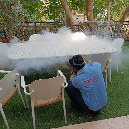 Supreme Pest Control Services LLC — HOME-SERVICES in Dubai — photo 2