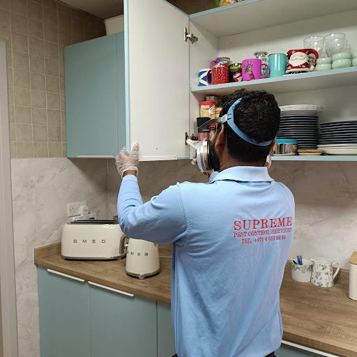 Supreme Pest Control Services LLC — HOME-SERVICES in Dubai — photo 3
