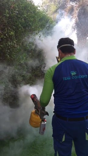 Concept View Pest Control Services Dubai, UAE — HOME-SERVICES in Dubai — photo 1