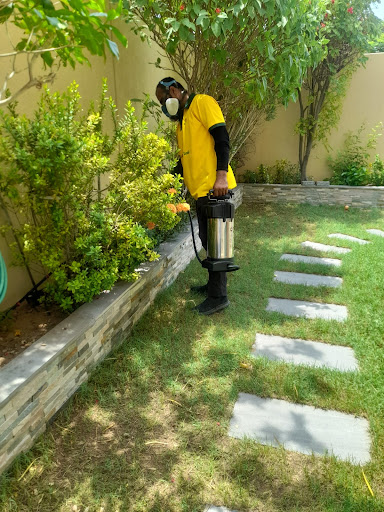 Golden Leaf Pest Control Dubai — HOME-SERVICES in Dubai — photo 3