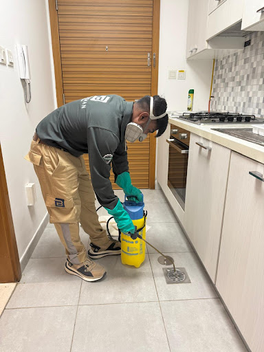 Beetleman Public Health Pest Control Services CO LLC — HOME-SERVICES in Dubai — photo 3