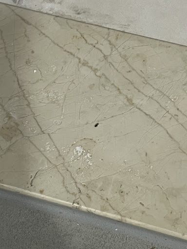 Expert Pest Control Dubai — HOME-SERVICES in Dubai — photo 1