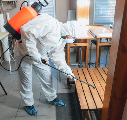 DUBAI PESTCO (L.L.C) — HOME-SERVICES in Dubai — photo 2