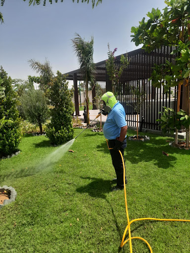 Star Al Madina Pest Control & Cleaning Services — HOME-SERVICES in Dubai — photo 2