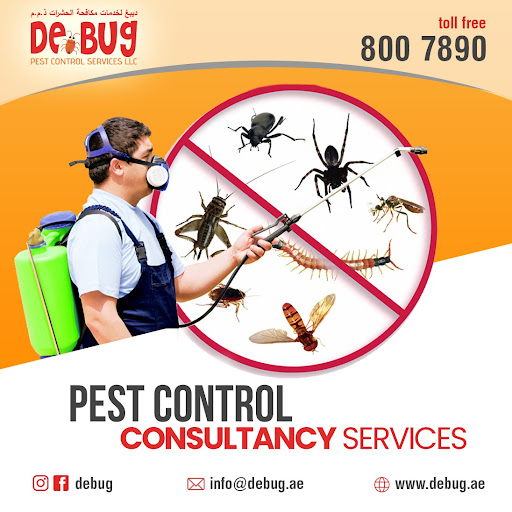 Debug Pest Control Services (Dubai) — HOME-SERVICES in Dubai — photo 3