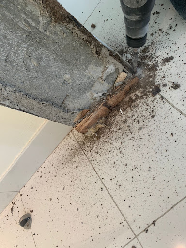 UAE Pest Control - Dubai Branch — HOME-SERVICES in Dubai — photo 1